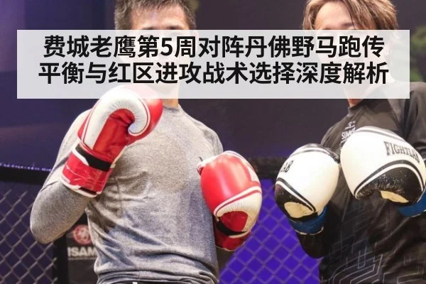 费城老鹰第5周对阵丹佛野马跑传平衡与红区进攻战术选择深度解析
